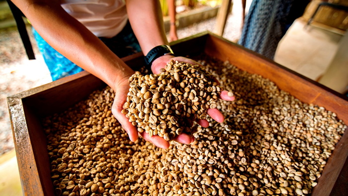 コーヒー豆の産地といっしょに書かれている「ウォッシュド」ってどういうこと?