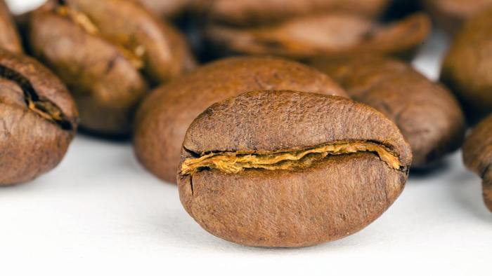 ロブスタ種のコーヒーの魅力と特徴