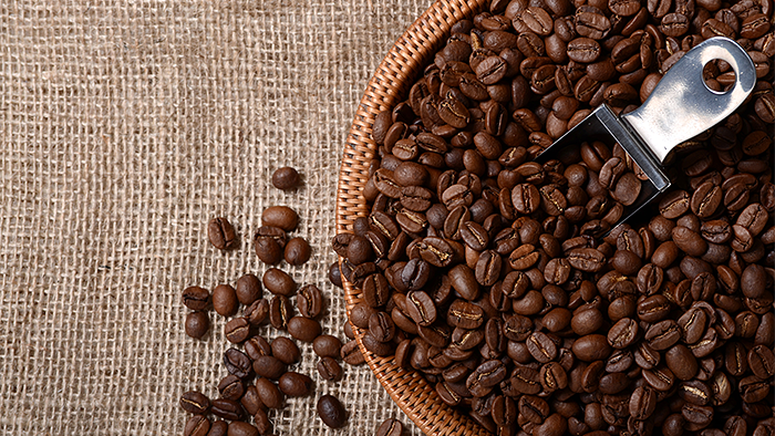 コーヒー豆の品種「アラビカ種」ってなに?