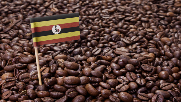 コーヒー豆の生産量トップ10 産地ごとの種類と特徴を解説 Beans Express
