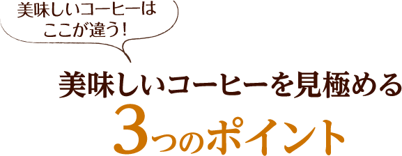 美味しいコーヒーを見極める3つのポイント